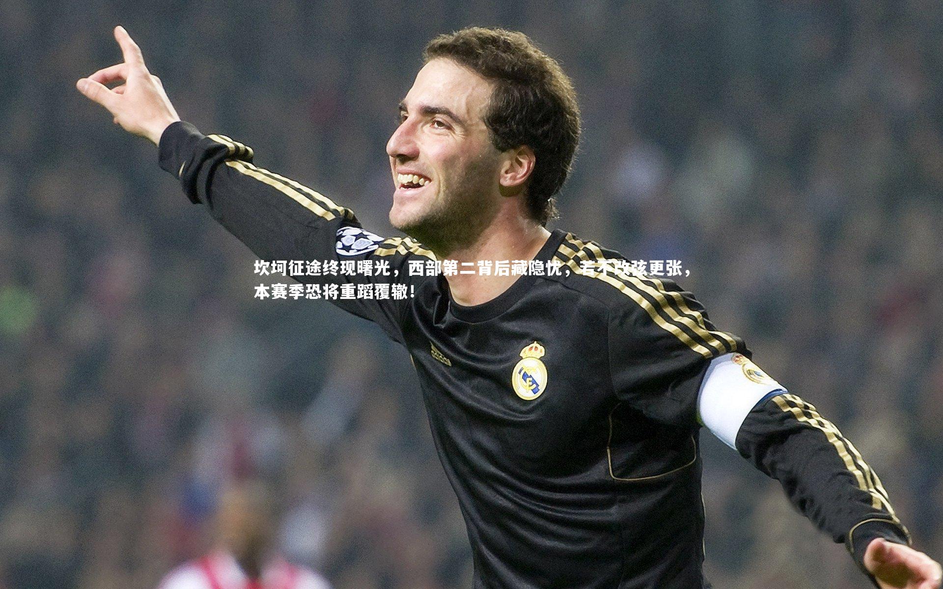 开云体育官网-坎坷征途终现曙光，西部第二背后藏隐忧，若不改弦更张，本赛季恐将重蹈覆辙！